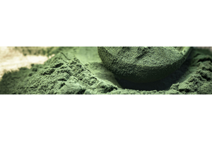chlorella poeder